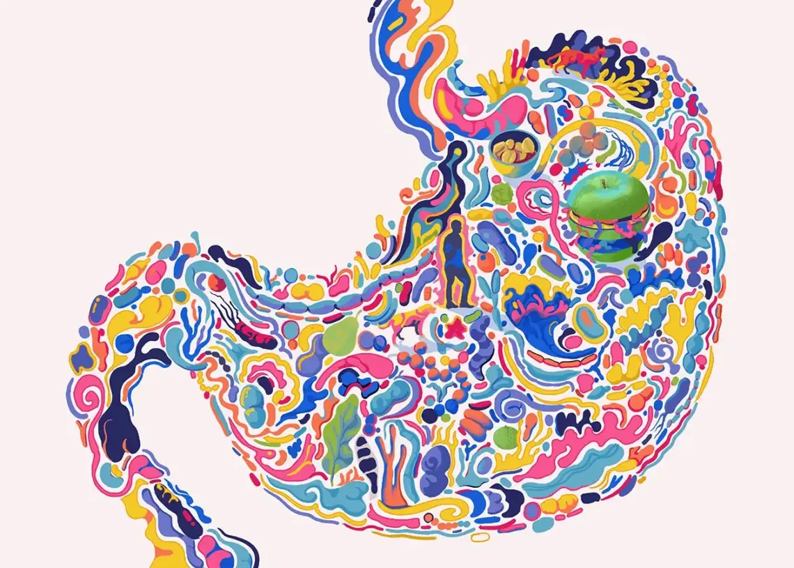 Gut Health and the Microbiome: Why It’s More Important Than Ever