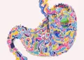 Gut Health and the Microbiome: Why It’s More Important Than Ever